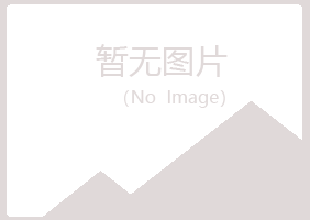 马山区夏岚金属有限公司